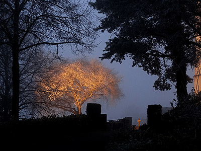 Friedhof - Freiburg-Tiengen - 13 December 2013 - 16:53