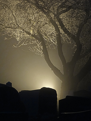 Friedhof - Freiburg-Tiengen - 13 December 2013 - 17:08