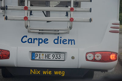 comic sans carpe