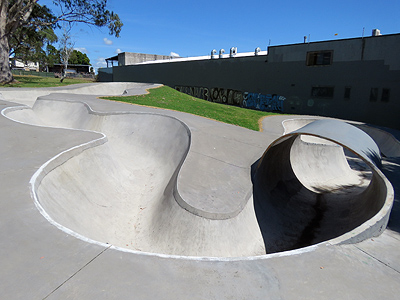 Skate Park - Hill Crescent - New Lynn - Auckland - New Zealand - 25 January 2016 - 11:06