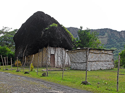 Vaturu Dam Road - Viti Levu - Fiji Islands - 20091104 - 11:25