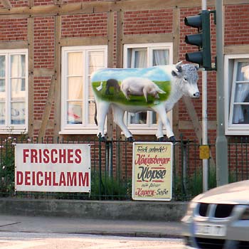 Tiere in der Stadt