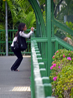 Rail Overbridge - north of Ang Mo Kio MRT Station - 20090616 - 17:20