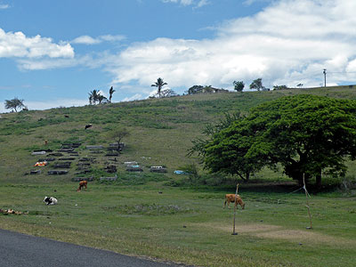 Dorfzentrum, Weide, Sportplatz, Friedhof - Drauniivi - Rakiraki - Viti Levu - Fiji Islands - 20091021 - 11:30