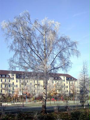 in der Marbachshöhe