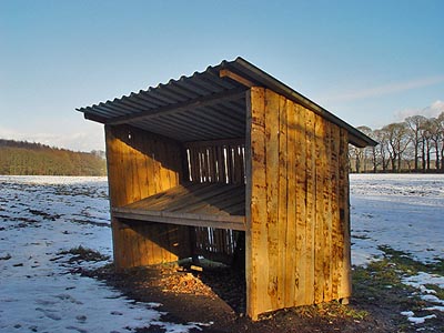 endlich wieder sonne