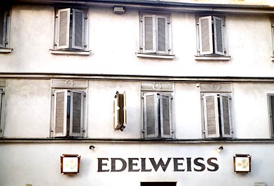 edelweiss