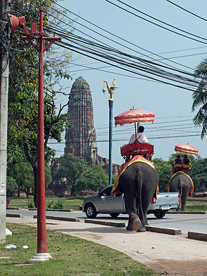 Historic Park - Ayutthaya - Thailand - 21 October 2012 - 10:57