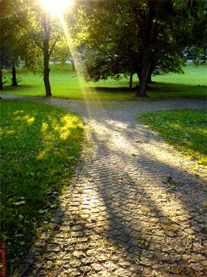 Trotz des kühlen Wetters - schönes Licht.