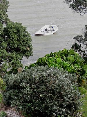 Little Shoal Bay - Auckland - New Zealand - 26 April 2016 - 13:02