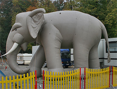 elefanten in der stadt