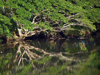 Natadola - Fiji Islands - 1 March 2011 - 7:18