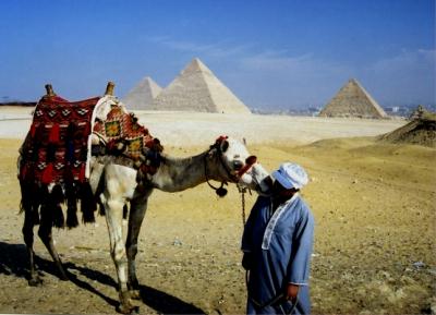 cairo/gizeh camel&amp;cameldriver