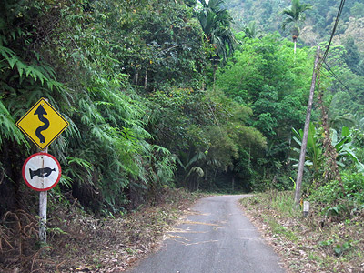 Khao Fa Chi - Bang Kaeo - Ranong - Thailand - 25 February 2013 - 10:14