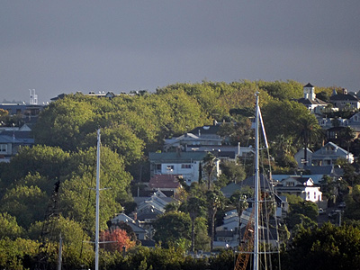 Franklin Road - Ponsonby - Auckland - 18 March 2014 - 15:14