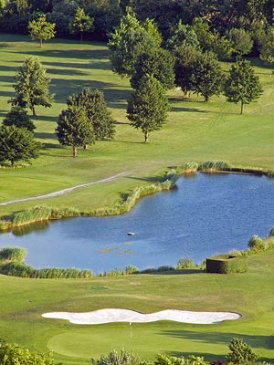 Golfplatz - Freiburg-Munzingen - 20090601 - 19:40