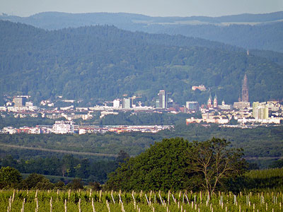 Freiburg vom Tuniberg Höhenweg - 20090531 - 20:05