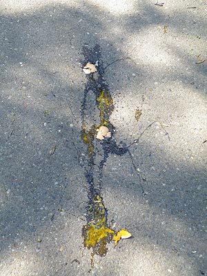 Pavement - Rohrgraben - Freiburg - 20 April 2011 - 13:02