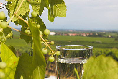 Weinfest in Gleisweiler