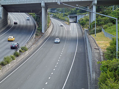 Grafton Gully - Auckland - New Zealand - 23 December 2009 - 17:55