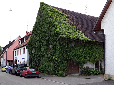Altgasse - Freiburg-Opfingen - 27 July 2014 - 19:31