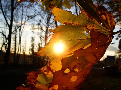 Herbststimmung in Nürnberg