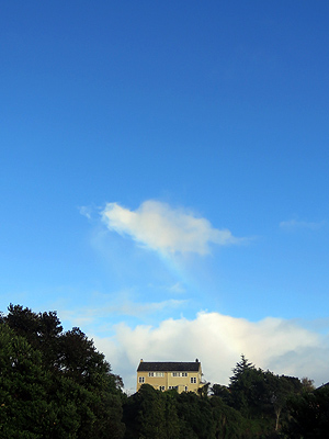 Dally Terrace - Mount Roskill - Auckland - New Zealand - 15 June 2016 - 8:53