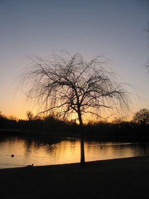 Meiner Meinung nach ein super gutes Foto, welches den Sonnenuntergang im Hyde Park in London zeigt.