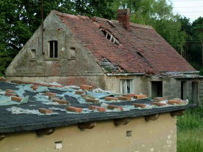 Hof in der Elbaue bei Jerichow (Sachsen-Anhalt)