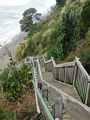 J F Kennedy Park - Castor Bay - Auckland - 15 March 2014 - 15:35