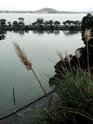 Judges Bay Road - Parnell - Auckland - New Zealand - 17 June 2014 - 9:09