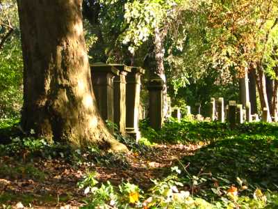 Alter jüdischer Friedhof Bonn-Schwarzrheindorf