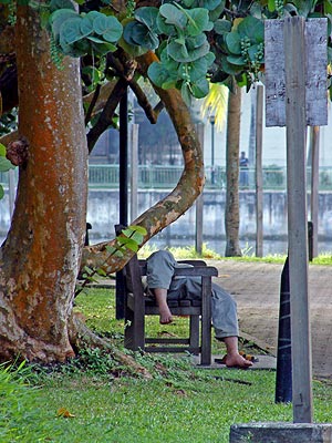 Kallang River Park