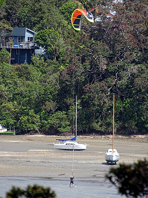 Little Shoal Bay - Northcote Point - Auckland - New Zealand - 1 January 2015 - 11:08