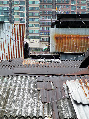 Kowloon Wholesale Fruit Markets - Hong Kong - 3 March 2010 - 10:00