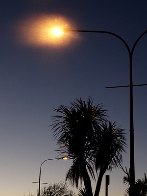 Lake Road - Belmont - Auckland - 13 June 2014 - 17:35