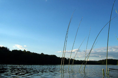 liepnitzsee