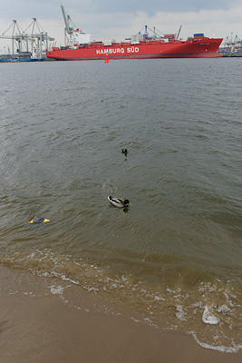 Oevelgoenne Elbstrand