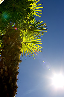 Botanischer Garten Klein Flottbek