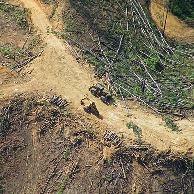 Momi - Viti Levu - Fiji Islands - 27 June 2010 - 10:28