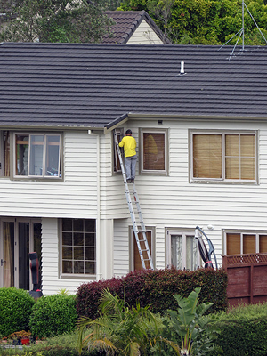 Redwing Street - Browns Bay - Auckland - New Zealand - 17 November 2015 - 14:52