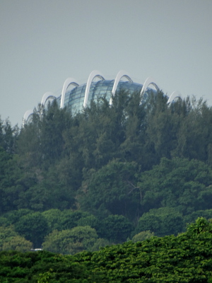 Marina Bay South Gardens from Kallang Basin - Singapore - 10 July 2014 - 15:03