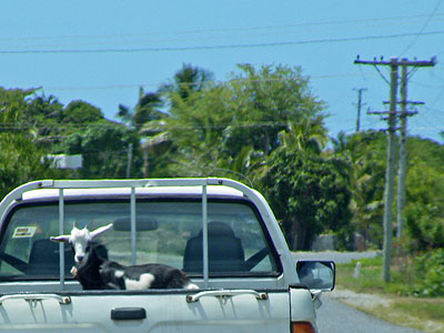 Queens Road - Nadi - Fiji Islands - 5 February 2010 - 14:40