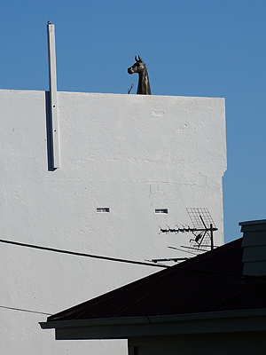 Calliope Road - Devonport - Auckland - New Zealand - 7 September 2014 - 10:05