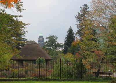 Botanischer Garten, Rathausturm