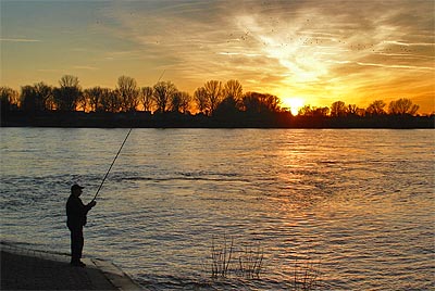 ...angler in der stadt