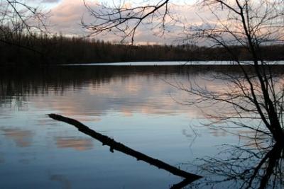 Naturschutzgebiet Hallerey