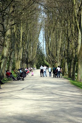 Rombergpark