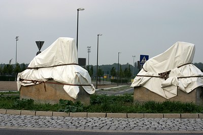 Hohenbuschei