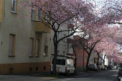 Kronprinzenstr.